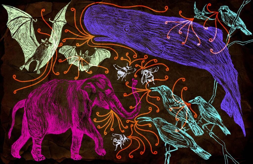 Listening to the more-than-human world: Legal & ethical principles for nonhuman animal communication technologies