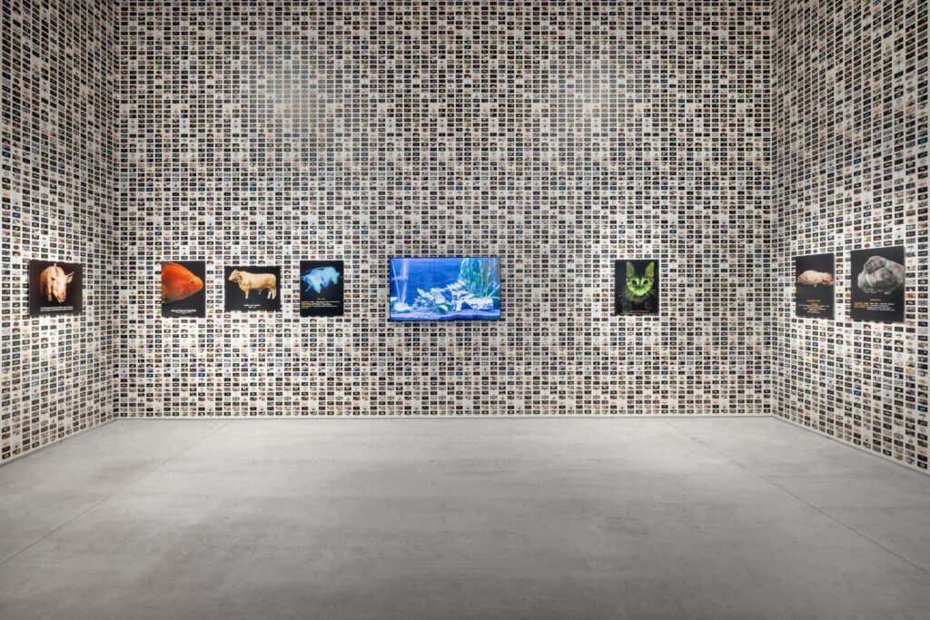 Review: Why Look at Animals? A Case for the Rights of Non-Human Lives Review: Why Look at Animals? A Case for the Rights of Non-Human Lives