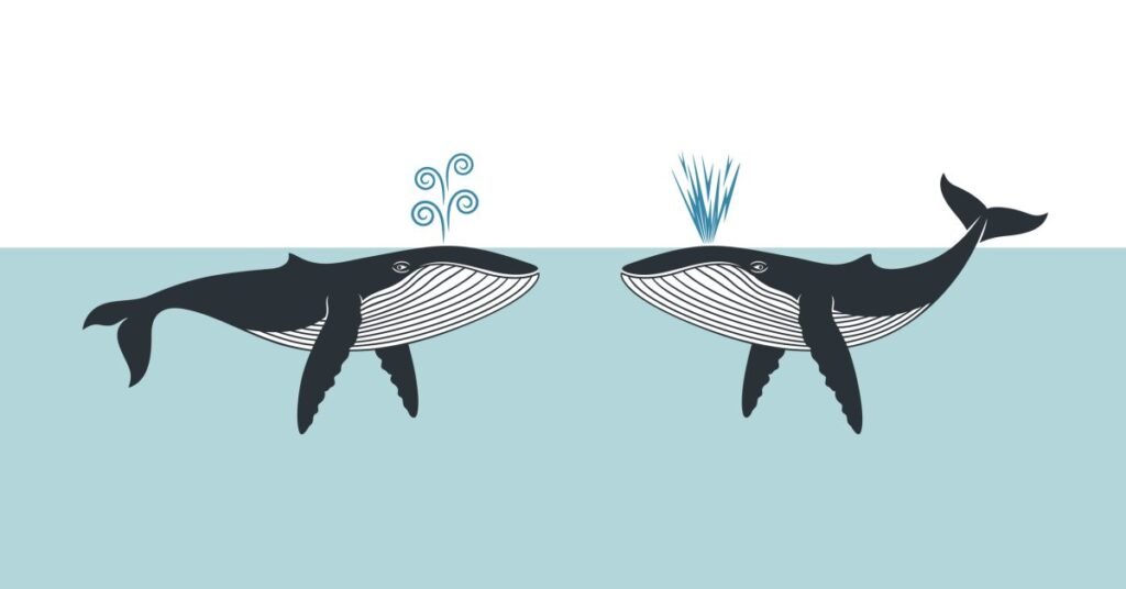 Using AI to Understand what Animals are Saying