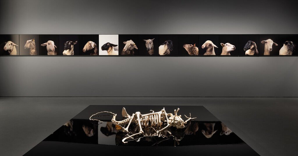 katerina gregos on curating EMST’s ‘why look at animals?’ show