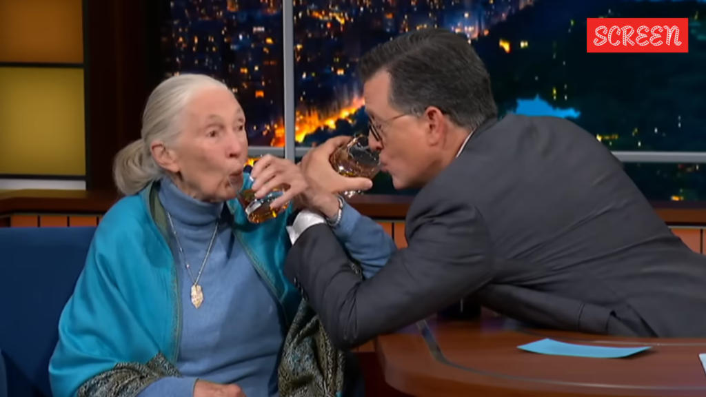 When Jane Goodall toasted to saving the planet with Stephen Colbert, and compared chimpanzees to a certain politician | Hollywood News When Jane Goodall toasted to saving the planet with Stephen Colbert, and compared chimpanzees to a certain politician | Hollywood News